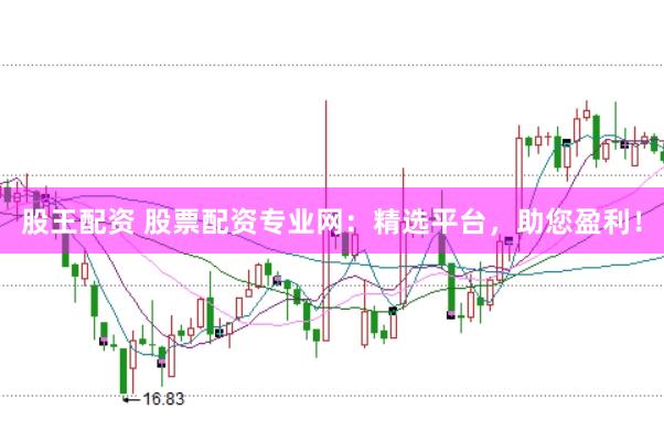 股王配资 股票配资专业网：精选平台，助您盈利！