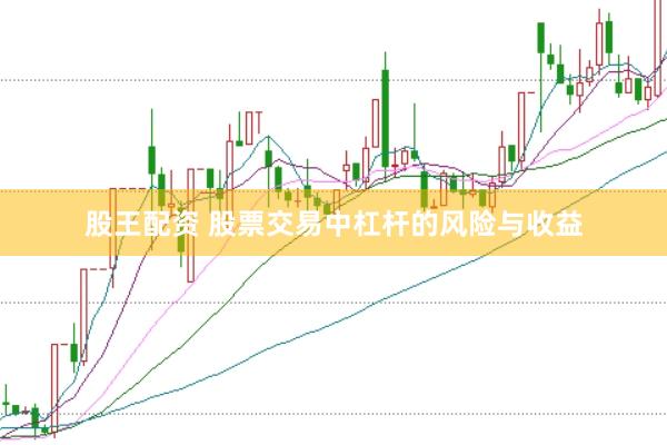 股王配资 股票交易中杠杆的风险与收益