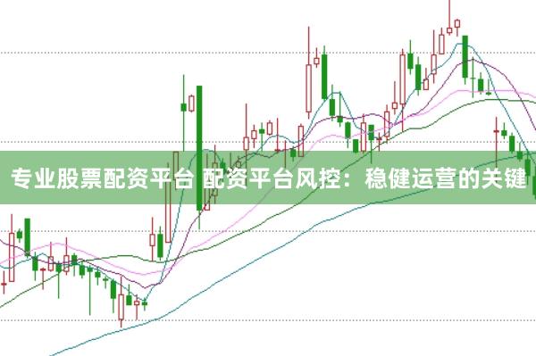 专业股票配资平台 配资平台风控：稳健运营的关键