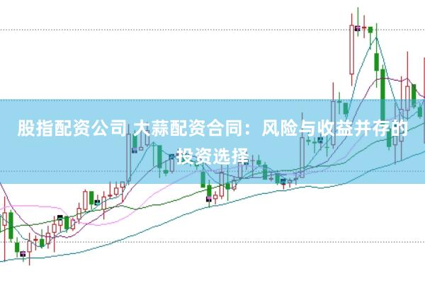 股指配资公司 大蒜配资合同：风险与收益并存的投资选择