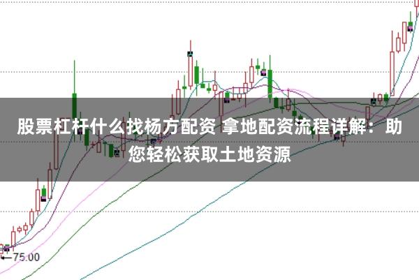 股票杠杆什么找杨方配资 拿地配资流程详解：助您轻松获取土地资源