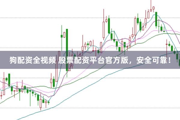 狗配资全视频 股票配资平台官方版，安全可靠！