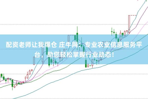 配资老师让我爆仓 庄牛网：专业农业信息服务平台，助您轻松掌握行业动态！
