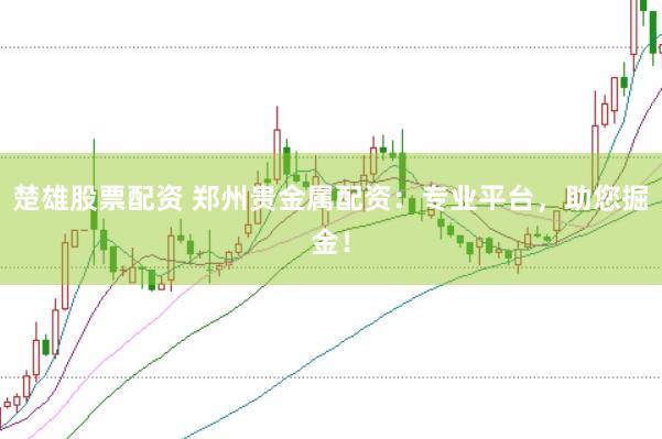楚雄股票配资 郑州贵金属配资：专业平台，助您掘金！