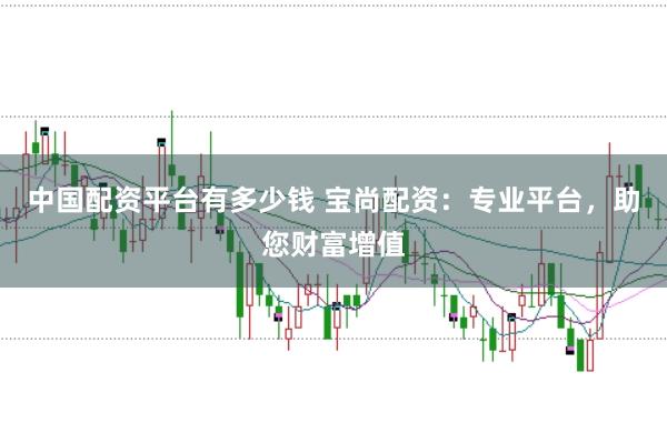 中国配资平台有多少钱 宝尚配资：专业平台，助您财富增值