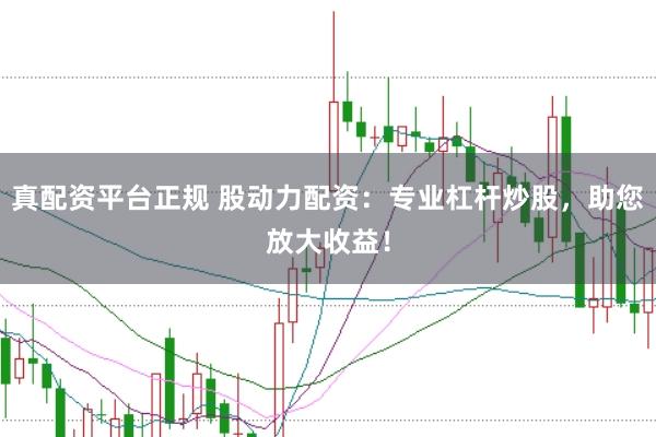 真配资平台正规 股动力配资：专业杠杆炒股，助您放大收益！
