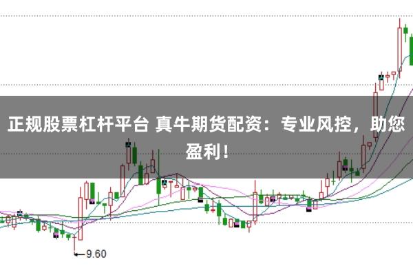 正规股票杠杆平台 真牛期货配资：专业风控，助您盈利！