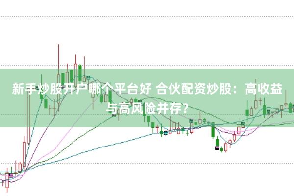 新手炒股开户哪个平台好 合伙配资炒股：高收益与高风险并存？