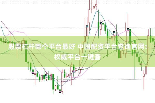 股票杠杆哪个平台最好 中国配资平台查询官网：权威平台一键查