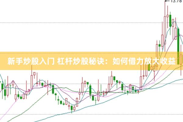 新手炒股入门 杠杆炒股秘诀：如何借力放大收益