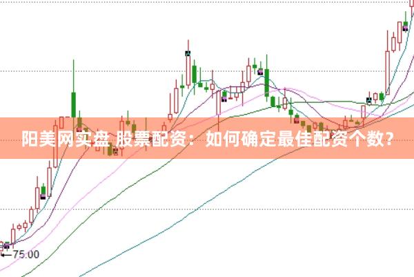 阳美网实盘 股票配资:如何确定最佳配资个数?