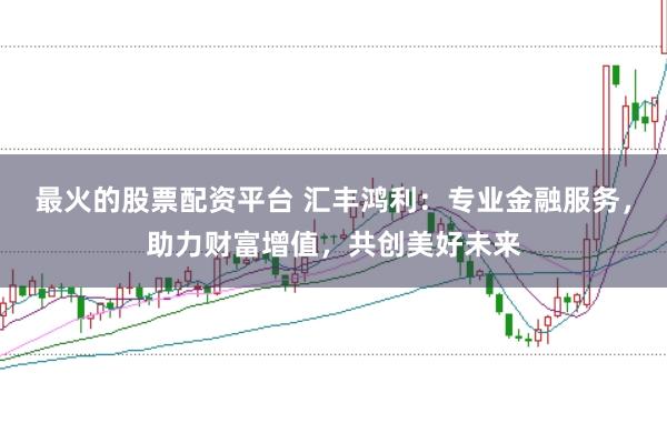最火的股票配资平台 汇丰鸿利：专业金融服务，助力财富增值，共创美好未来