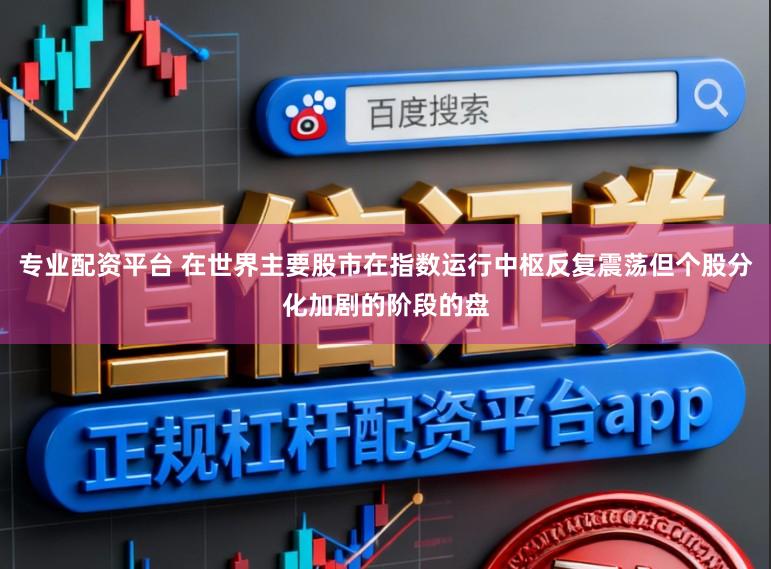 专业配资平台 在世界主要股市在指数运行中枢反复震荡但个股分化加剧的阶段的盘