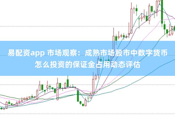 易配资app 市场观察：成熟市场股市中数字货币怎么投资的保证金占用动态评估