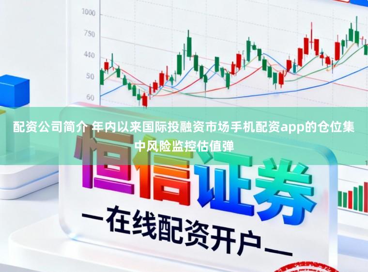 配资公司简介 年内以来国际投融资市场手机配资app的仓位集中风险监控估值弹